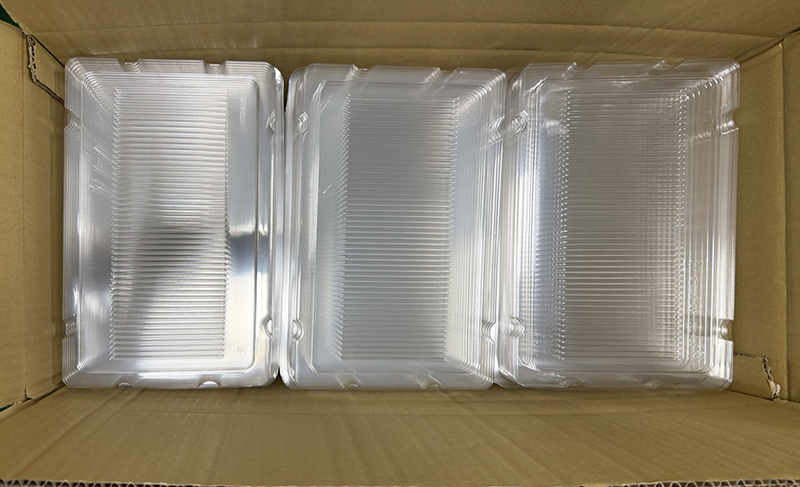 ddr plastic box tray packaging 1771l1 